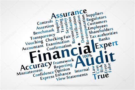 financial audit stock vector zagandesign