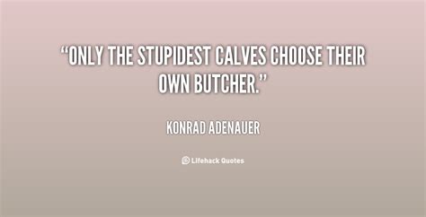 Calf Quotes. QuotesGram
