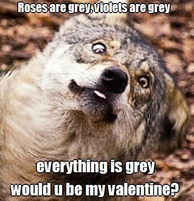 Adorable wolf memes!!! :3 | Pets Amino