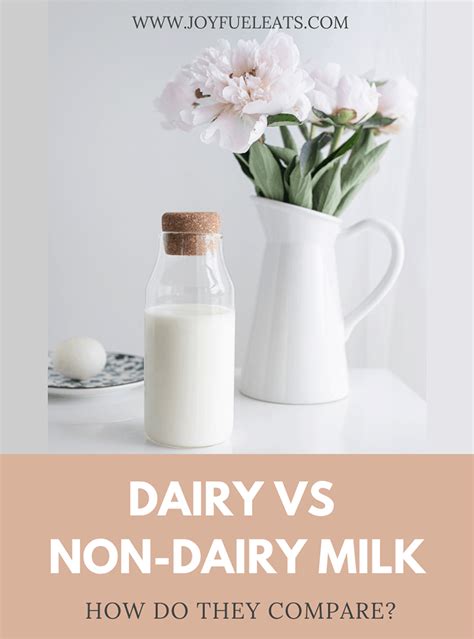dairy   dairy milk    compare