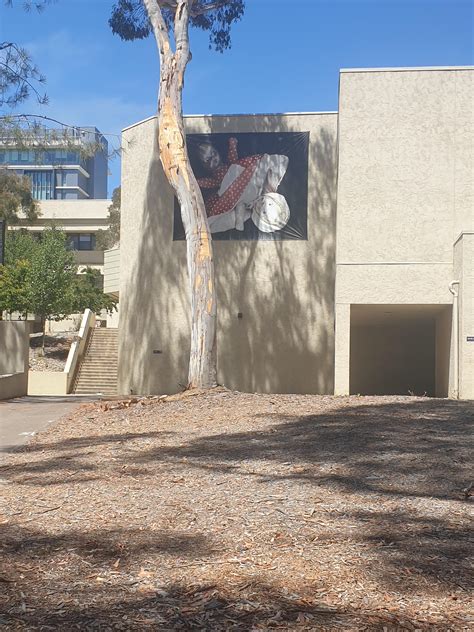 Can someone explain to me why this is on Solis Hall : r/UCSD