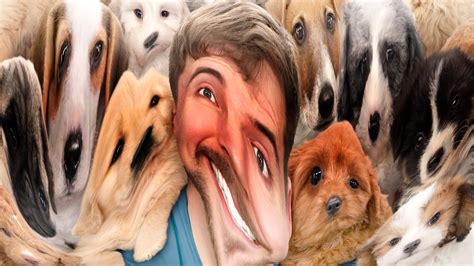 MrBeast may never quit YouTube, but his game is changing - Polygon