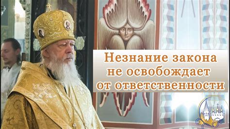 Незнание закона не освобождает от ответственности - YouTube