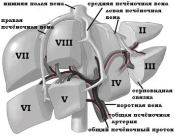 Операции на печени