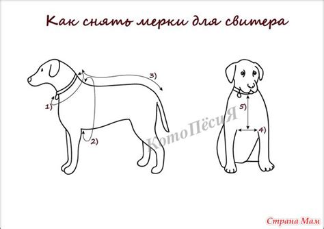Свитер для мопса в духе Слизерин - Вязание - Страна Мам