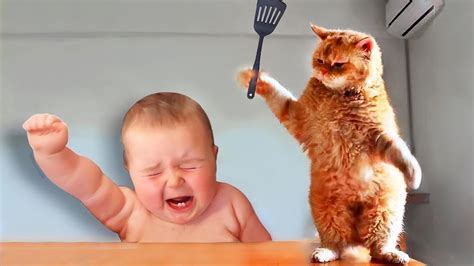 funniest babies momentget cute energy   week  adorable