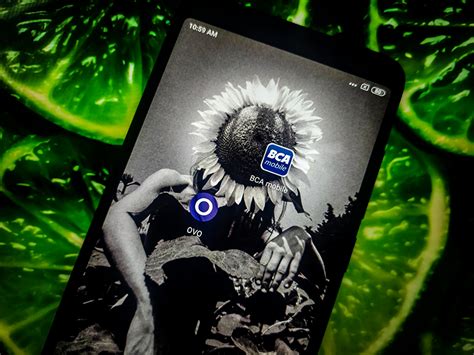 top  ovo  bca mobile  atm bca orangkamar