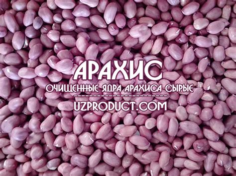 Сырой арахис. Купить ядра арахиса очищенные сырые | Узбекский магазин