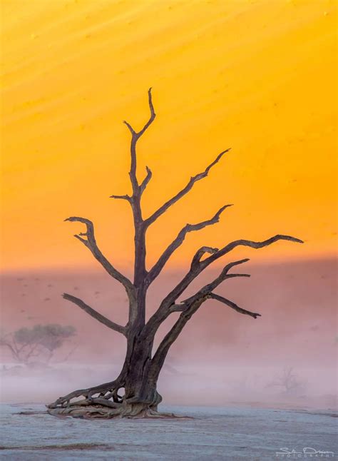 desolate - Top Spots for this Photo Theme