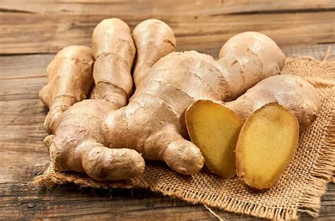 langkah langkah menanam kebun herbal sendiri  rumah haluan lifestyle