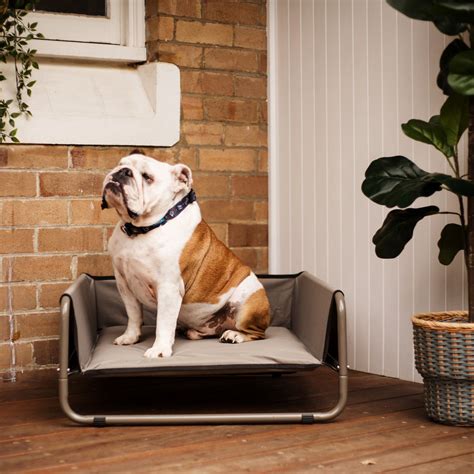 Outdoor Dog Beds | Weatherproof Small & Large Dog Beds | Kazoo Pet Co