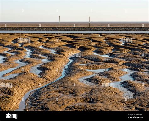 view  mud flats   wash estuary   river welland