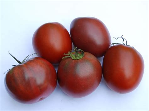 Black Prince Tomato - Seeds