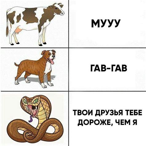 Cмешные картинки и фото-приколы