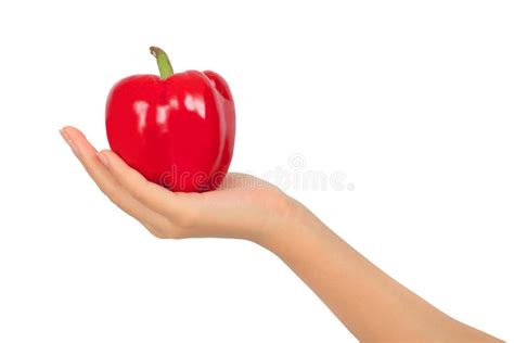 Female Hand Carry a Fruit of Paprika Stock Photo - Image of spice, lady ...