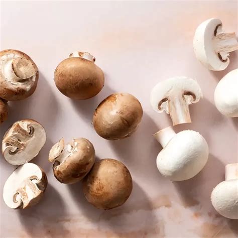 buy white button mushroom   lowest price  gm