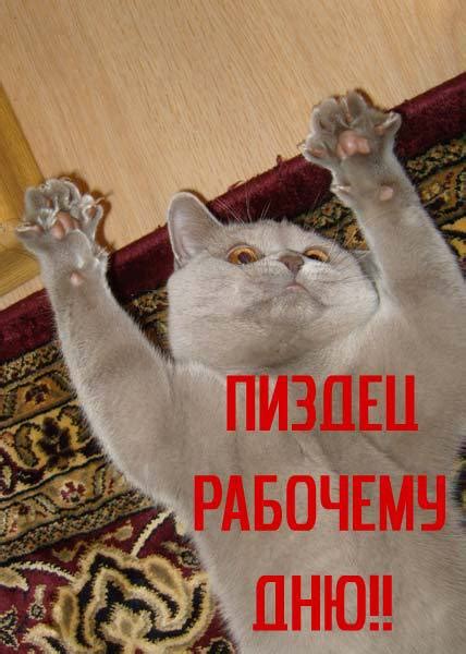 Скачать прикольные и красивые картинки: Картинки про пятницу на fun ...