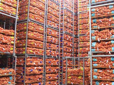 Onion Cold Storage, Cold Storage of Onions Supplier in China
