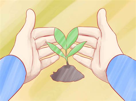 menanam tanaman rempah wikihow