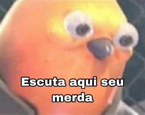 Escuta Aqui Seu Merdinha