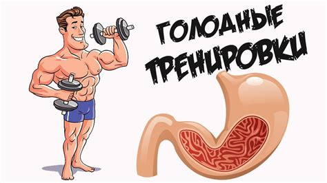 Почему заниматься на голодный желудок НОРМАЛЬНО и что нужно есть перед ...