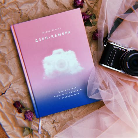 Дэвид Ульрих. Дзен-камера - PhotoLeviosa