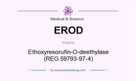 erod ethoxyresorufin  deethylase reg     medical