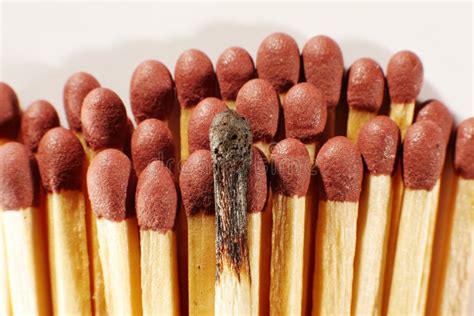 Close-up of a Single Burnt Match in a Group of Matches Stock Image ...