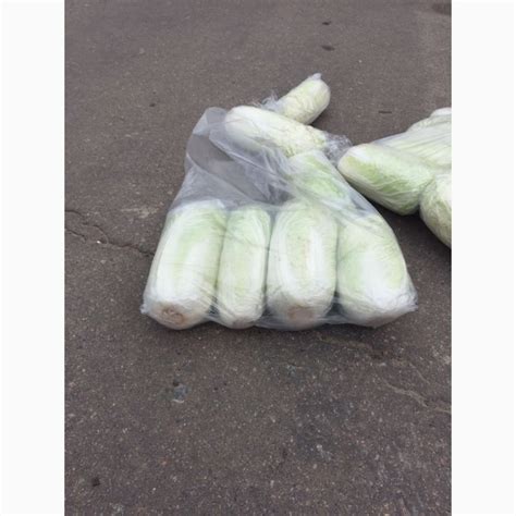 Продам Капусту Пекинскую, купить капусту Пекинскую, Киевская обл — Agro ...