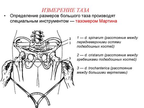 Методы обследования в акушерстве. Методы оценки состояния плода ...