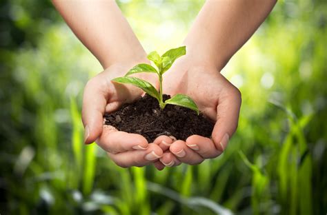 Planting Reformed Churches – Reformed Forum