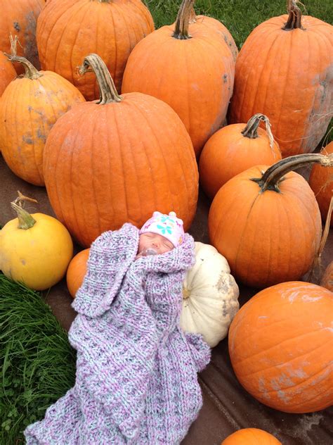 Penelope Vermont pumpkin patch
