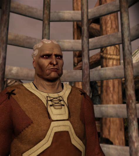 Dragon Age: Origins Screenshots by Saturnyu on DeviantArt