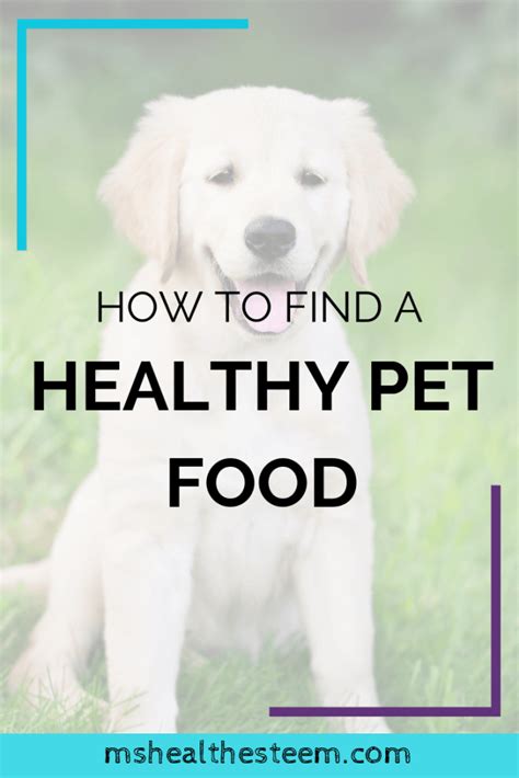 How To Find a Healthy Pet Food | Ms. Health-Esteem