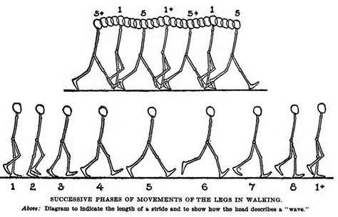 How to Draw and Animate a Person Walking or Running - Huge Guide and ...