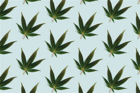 What Is CBD Isolate? Uses, Benefits, and Risks | The Healthy