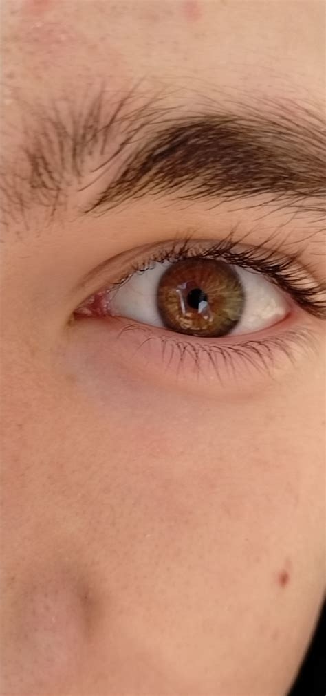 Brown eyes : r/eyes