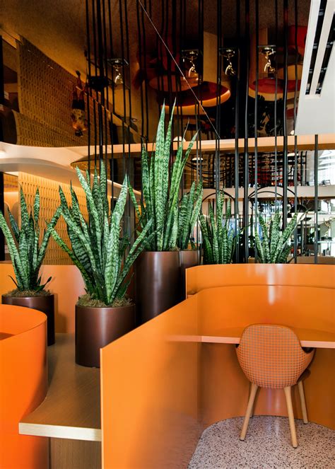 Lush Plants — Lush Elements
