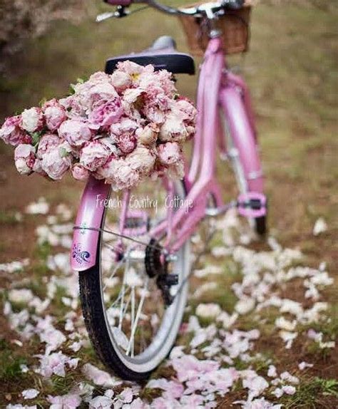 Pin by Lilya on Fotoğrafçılık | Pink bike, Bicycle, French country cottage