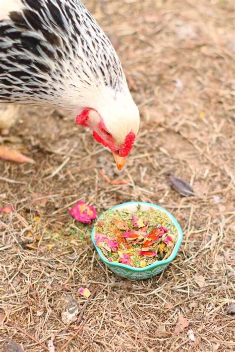 Herbal Deworming Mix For Backyard Chickens