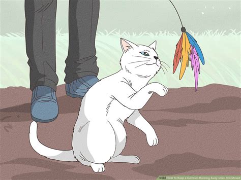 Animated Moving Cats