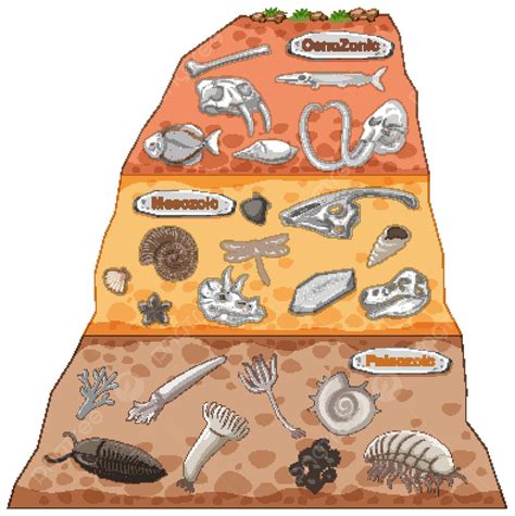 Three Different Eras Of Earths History Science Animals World Vector ...