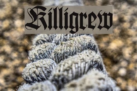 Killigrew Font - FFonts.net