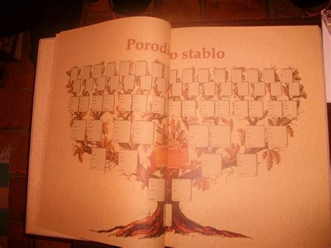 Porodicno stablo - Kupindo.com (11007748)