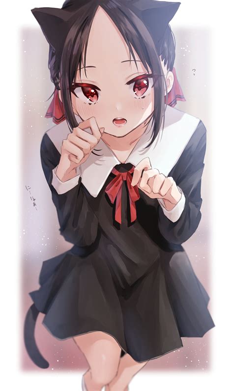 Neko Kaguya : r/Kaguya_sama