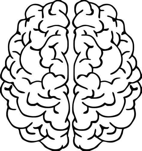 SVG > tree person computation branches - Free SVG Image & Icon. | SVG Silh