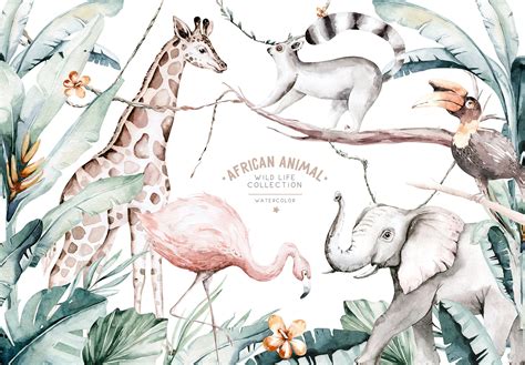 African animals watercolor set | Animal Illustrations ~ Creative Market