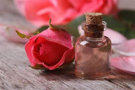 духи из роз | Rose water, Essential oil for hives, Rose oil