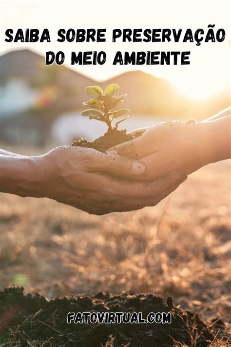Por Que Devemos Preservar O Meio Ambiente - Preservação do meio ambiente: Estudos de como devemos agir e ajudar a ...