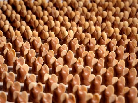 L.A. Burdick Chocolates